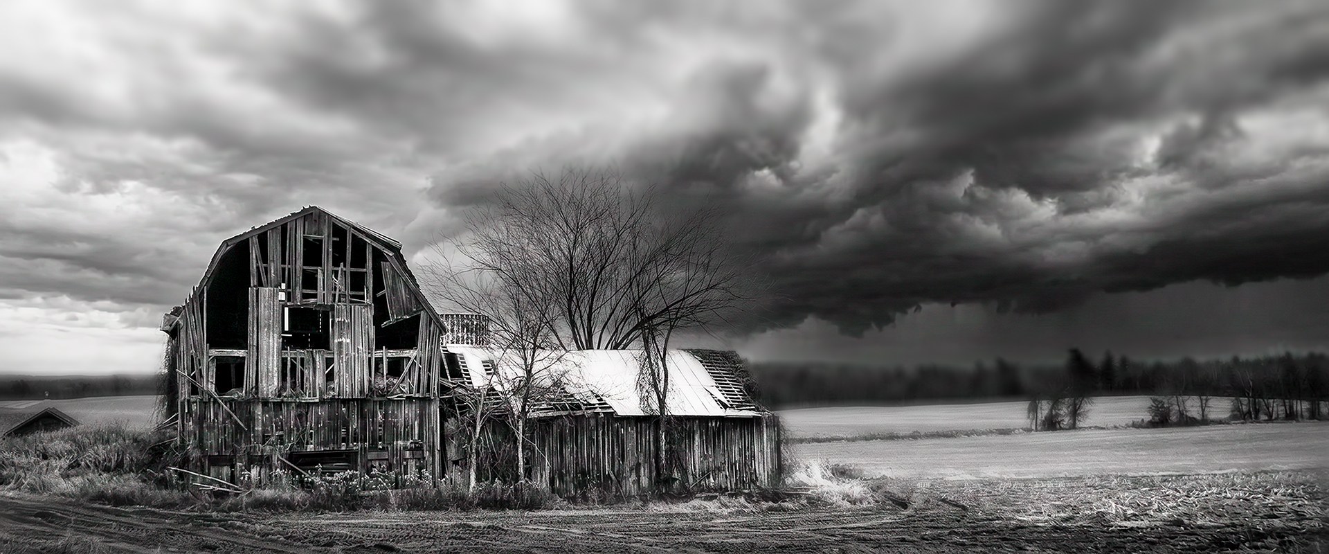Before the Storm