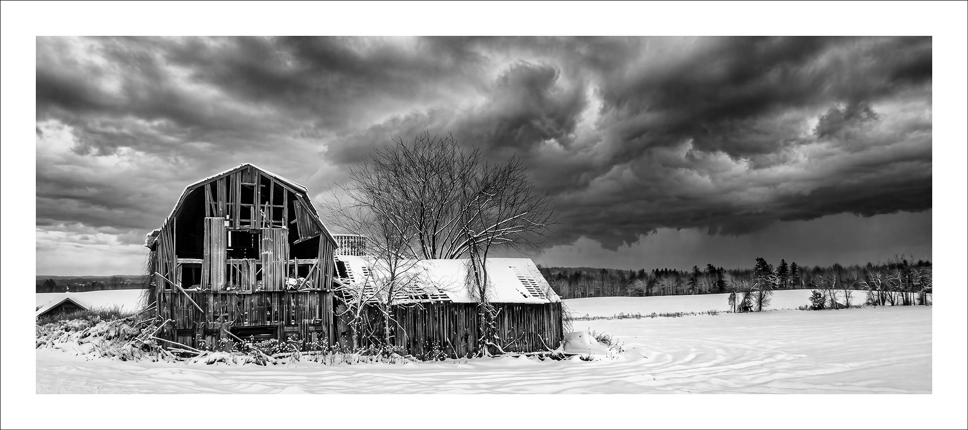The Long Winter