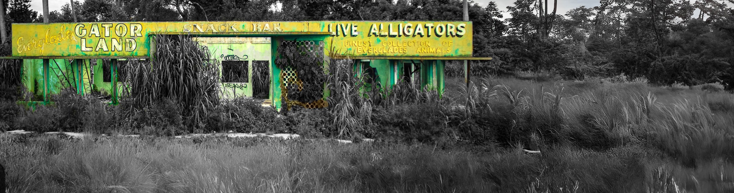 A weathered roadside building reclaimed by vegetation