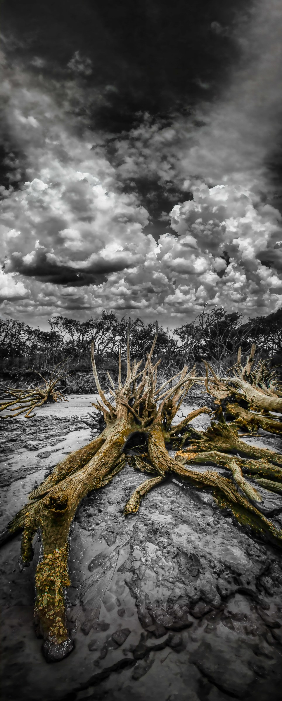 Remnants of the Storm