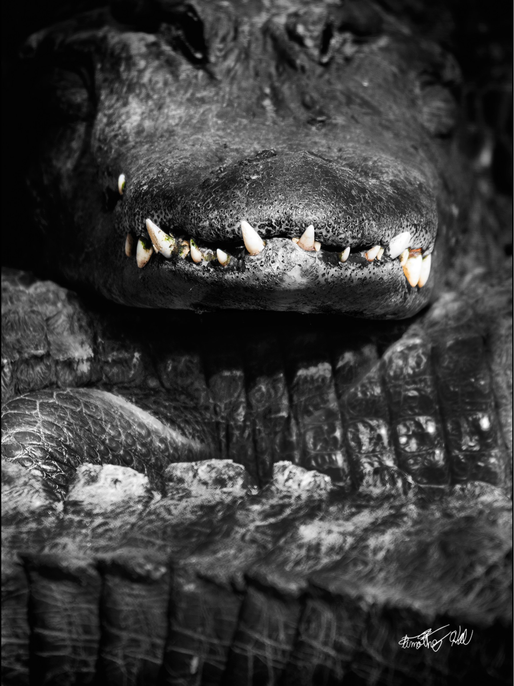 Primordial Smile