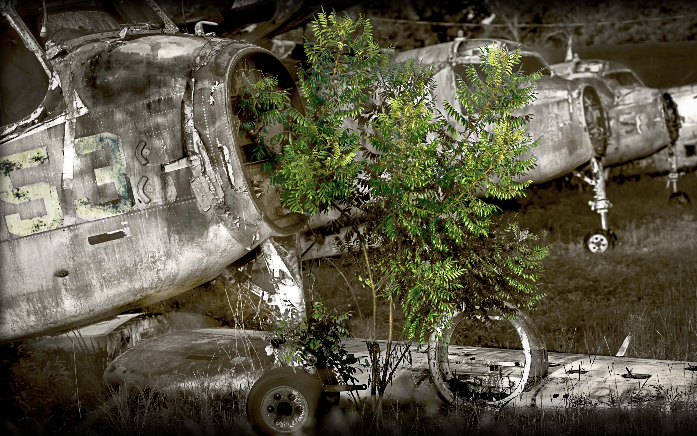 Reclaimed