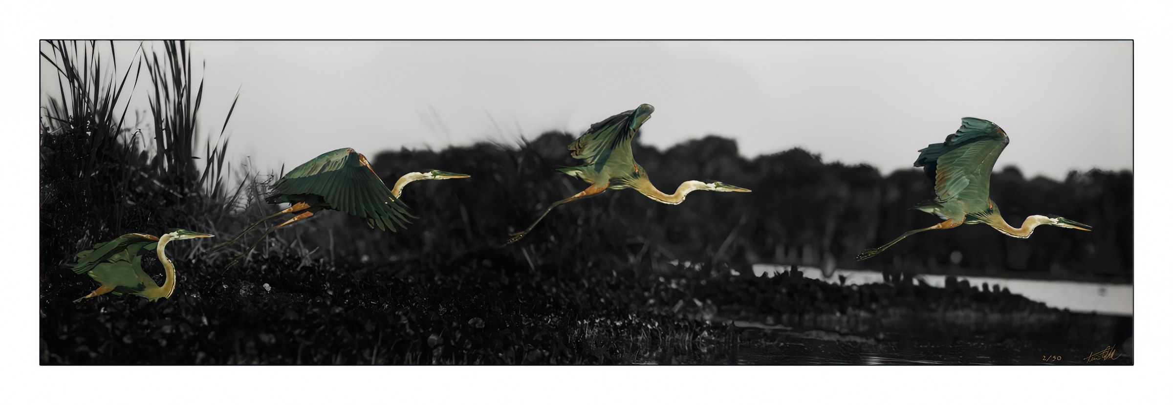 The stages of flight