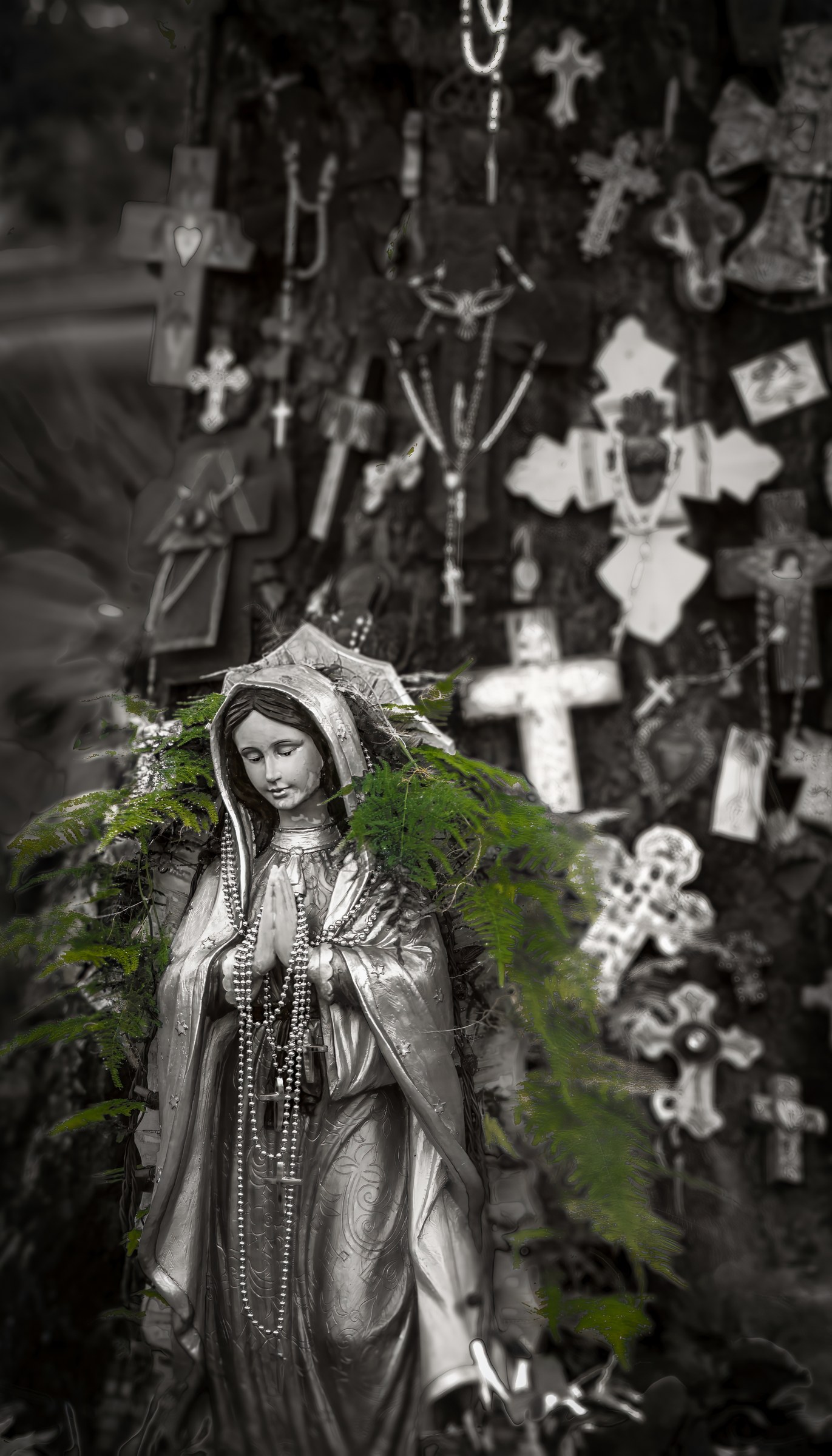 In the Stillness of Prayer