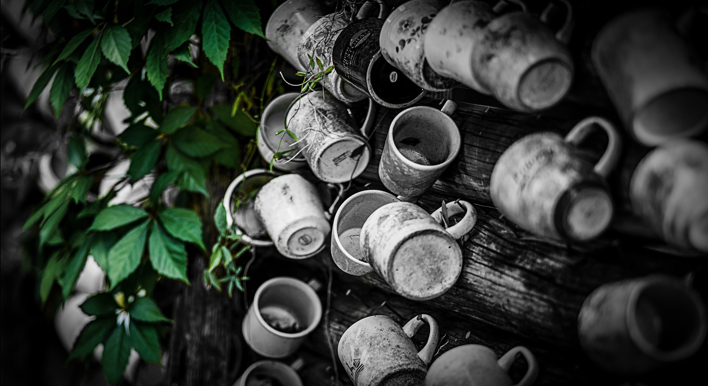 Forgotten Vessels