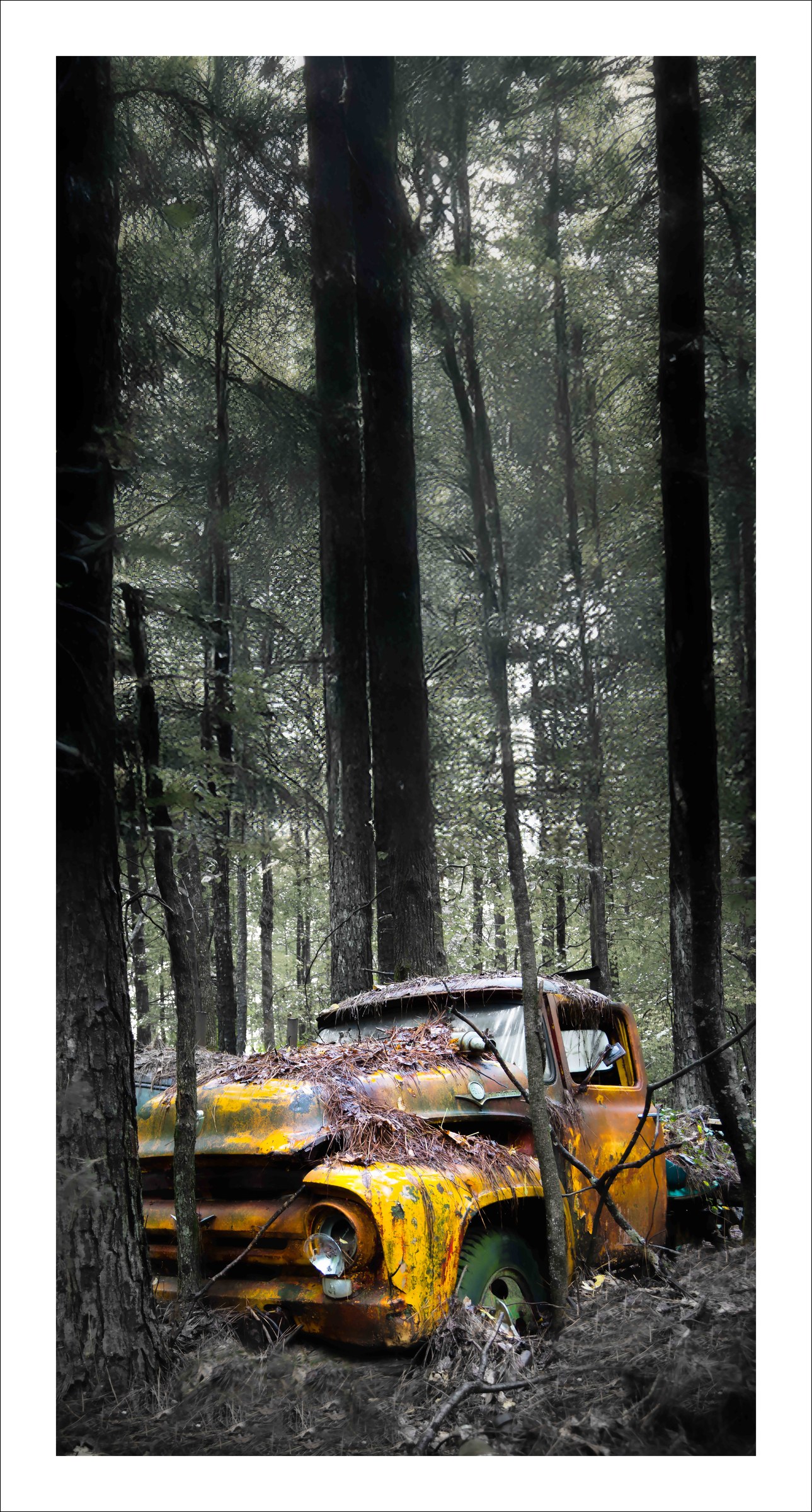 Rust Beneath the Pines